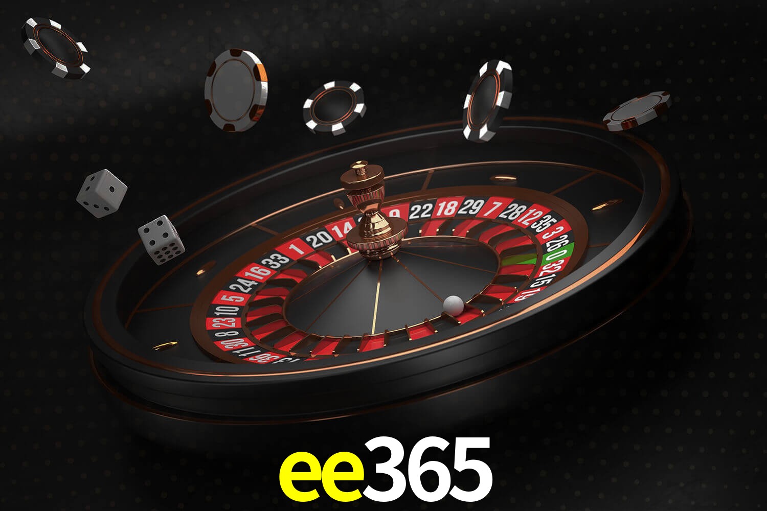 ee365.com